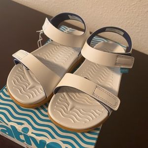 Native shoe size C11